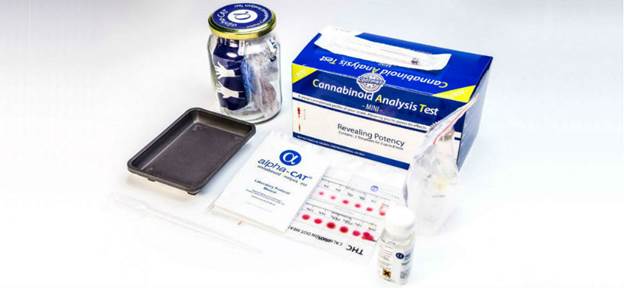 alpha-cat regular cannabinoids test kit